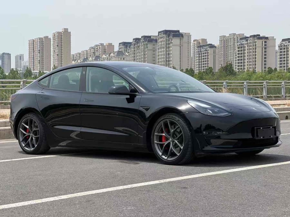 特斯拉 Model 3  2021款 改款 Performance高性能全輪驅(qū)動版圖片