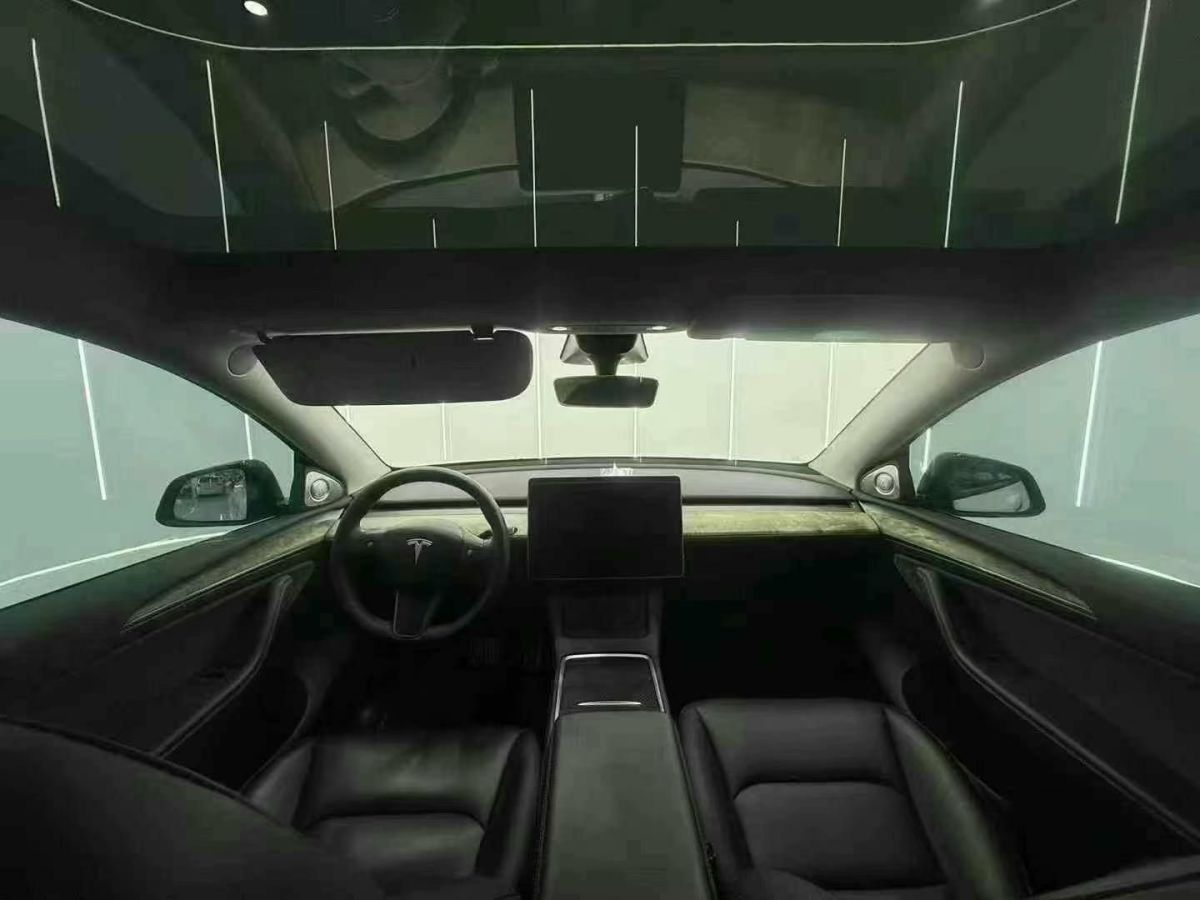 特斯拉 Model 3  2022款 Performance高性能全輪驅(qū)動(dòng)版圖片