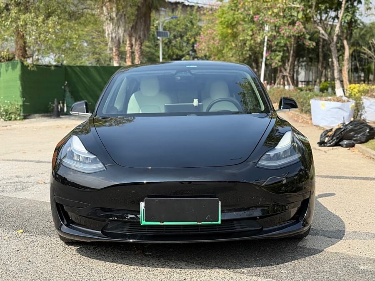 特斯拉 Model 3  2020款 改款 標準續(xù)航后驅(qū)升級版圖片