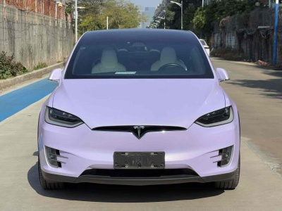 2018年10月 特斯拉 Model X Model X 100D 長(zhǎng)續(xù)航版圖片