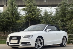 奥迪S5 奥迪 S5 3.0T Cabriolet