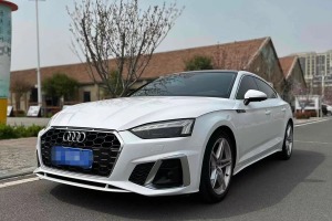 奧迪A5 奧迪 Sportback 40 TFSI 時(shí)尚致雅型