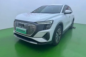 奧迪Q5 e-tron 奧迪 40 e-tron 閃耀型 錦衣套裝