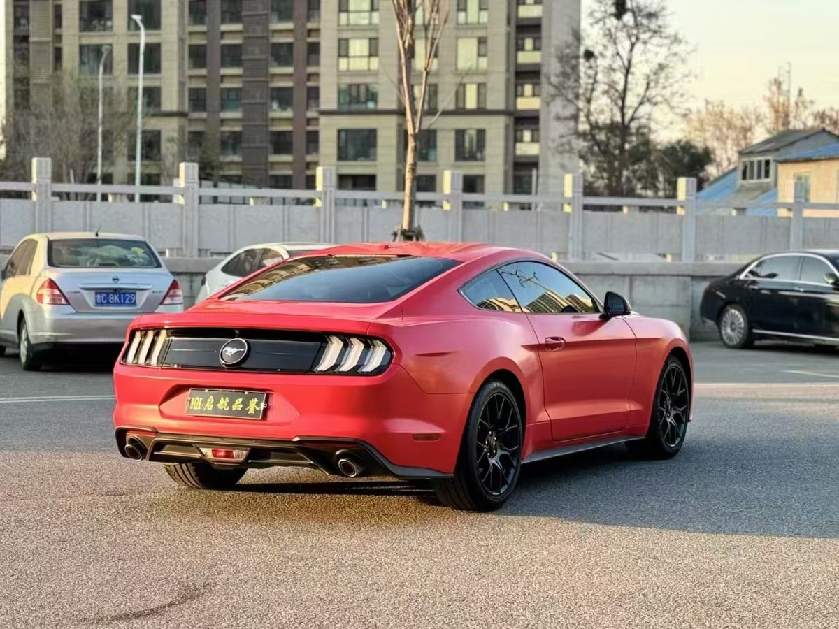 福特 Mustang  2020款 2.3L EcoBoost圖片