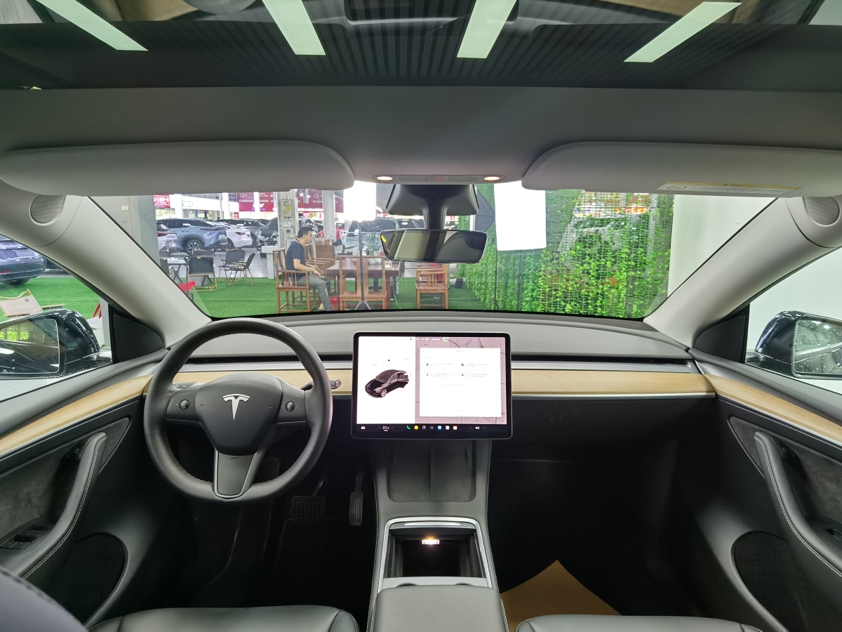 特斯拉 Model 3  2022款 后輪驅(qū)動版圖片