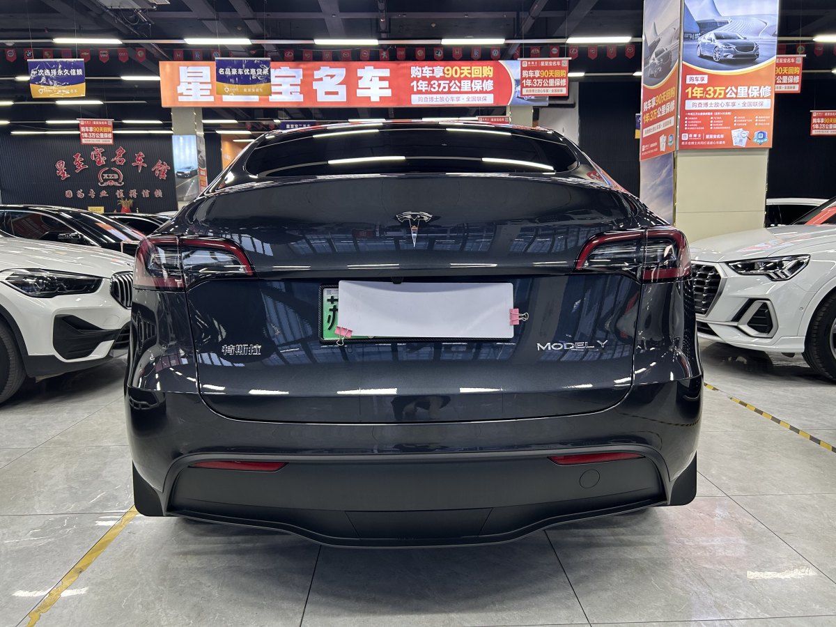 特斯拉 Model 3  2020款 改款 長(zhǎng)續(xù)航后輪驅(qū)動(dòng)版圖片