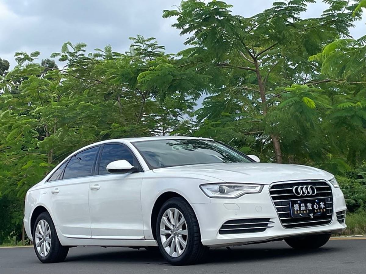 奧迪 奧迪A6L  2015款 TFSI 百萬(wàn)紀(jì)念智領(lǐng)型圖片