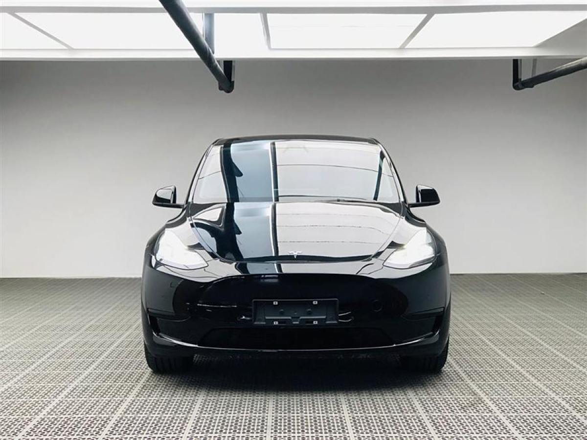 2022年6月特斯拉 Model Y  2022款 后輪驅動版