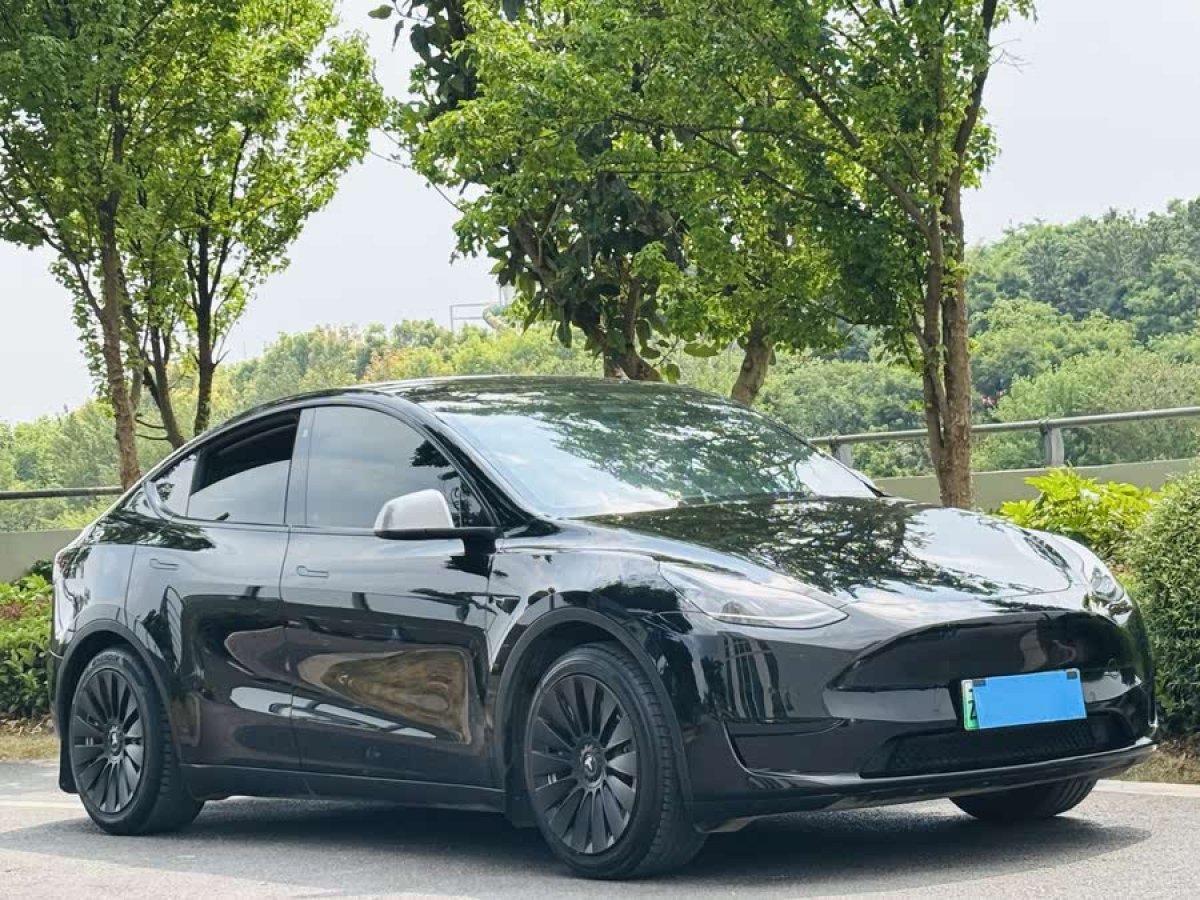 特斯拉 Model Y  2022款 改款 后輪驅(qū)動(dòng)版圖片