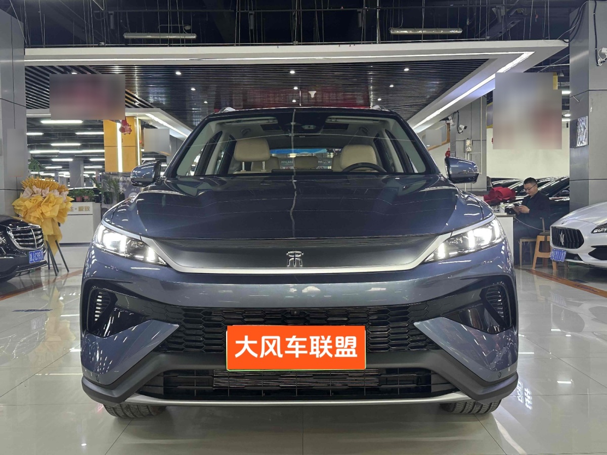 比亞迪 宋Pro新能源  2025款 DM-i 115KM卓越型圖片