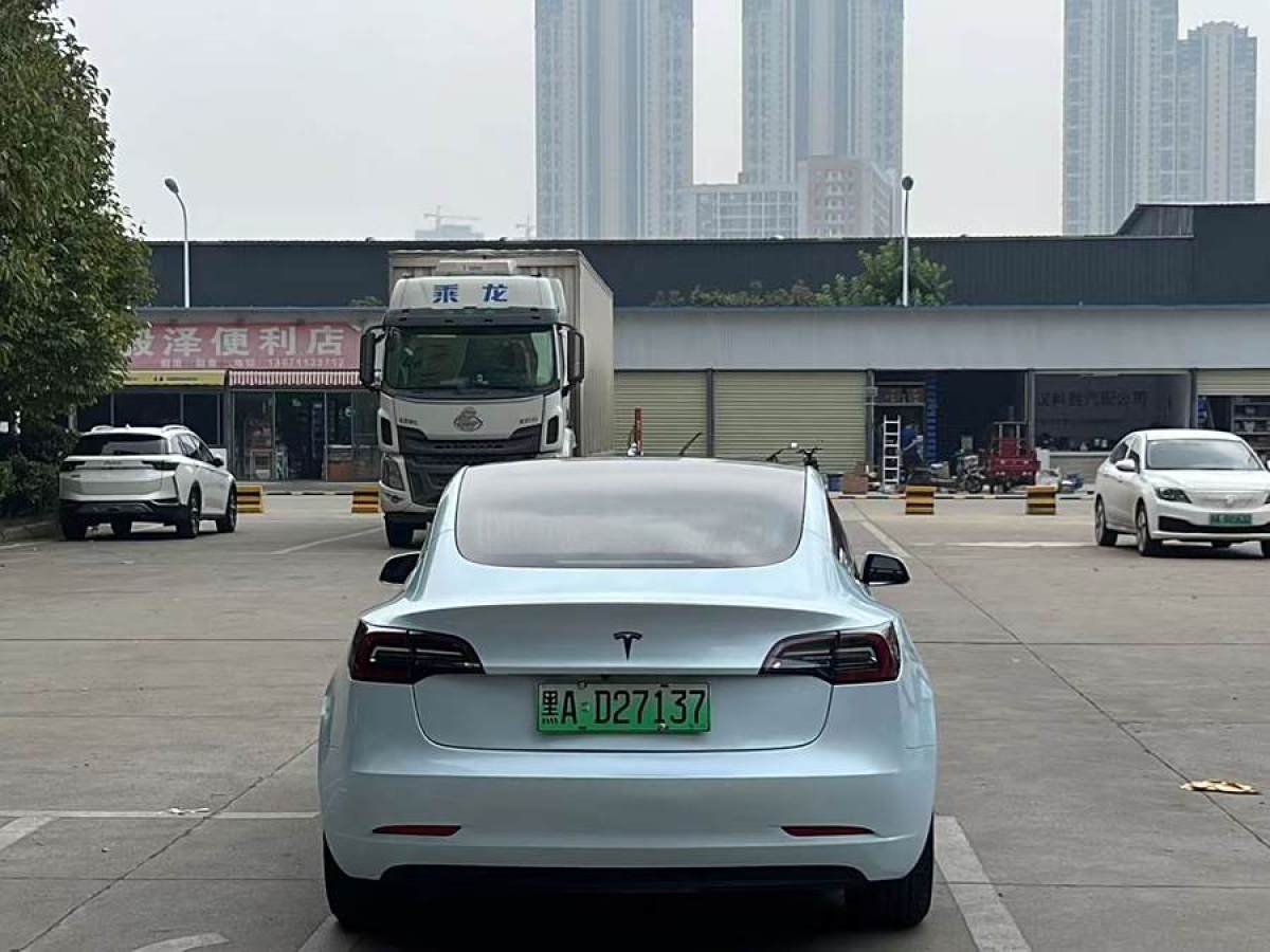 特斯拉 Model 3  2019款 標(biāo)準(zhǔn)續(xù)航后驅(qū)升級版圖片