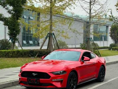 2019年8月 福特 Mustang(進(jìn)口) 2.3L EcoBoost 性能加強(qiáng)版圖片