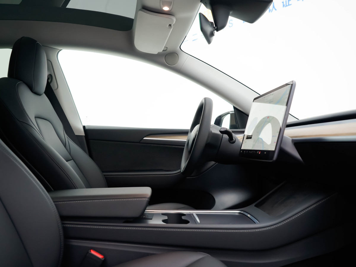 特斯拉 Model Y  2021款 長續(xù)航全輪驅(qū)動(dòng)版 3D7圖片