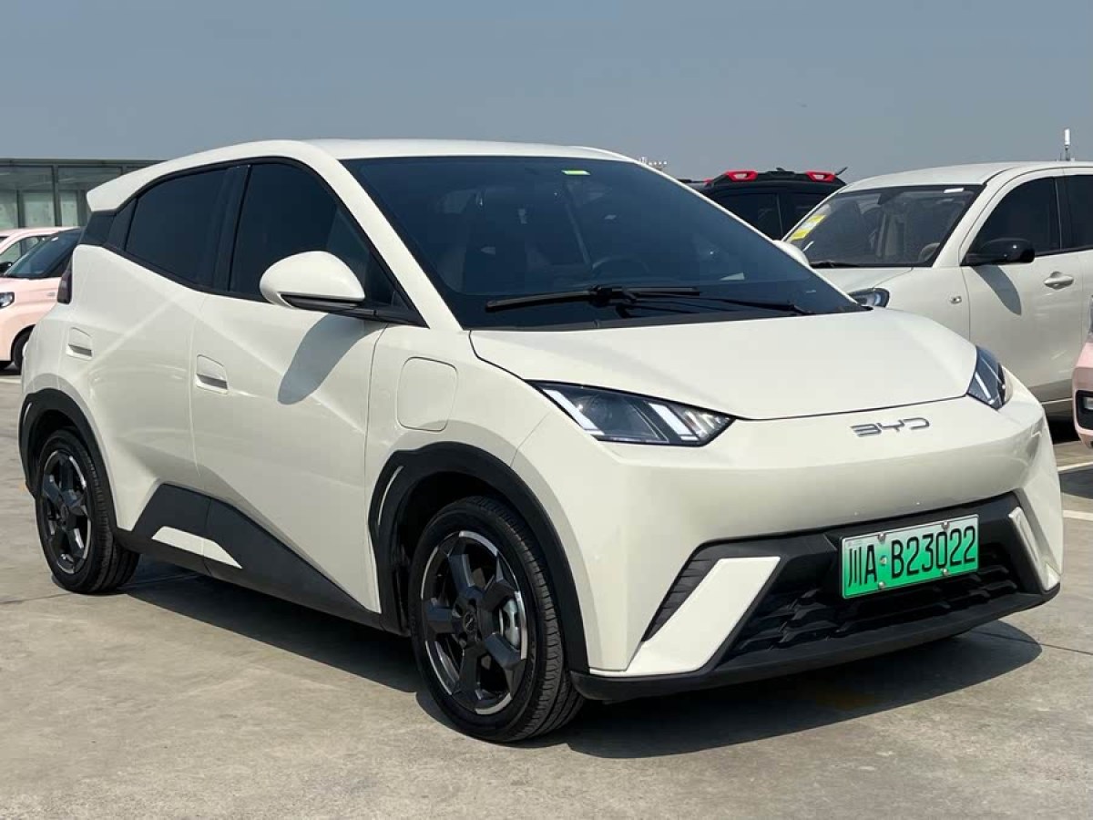 比亞迪 海鷗  2023款 自由版圖片
