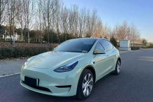 Model 3 特斯拉 改款 長續(xù)航后輪驅(qū)動版