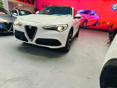 2019年3月 阿爾法·羅密歐 Stelvio 2.0T 200HP 豪華版圖片