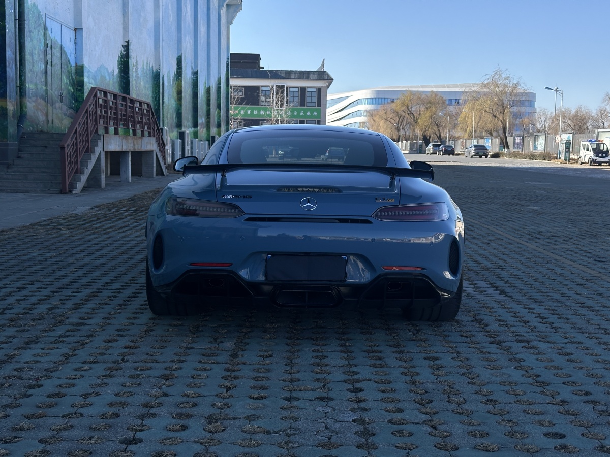 奔馳 奔馳AMG GT  2019款 AMG GT R圖片