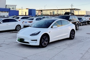 Model 3 特斯拉 标准续航后驱升级版