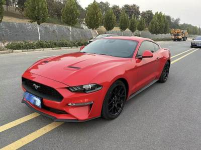 2021年8月 福特 Mustang(進口) 2.3L EcoBoost圖片