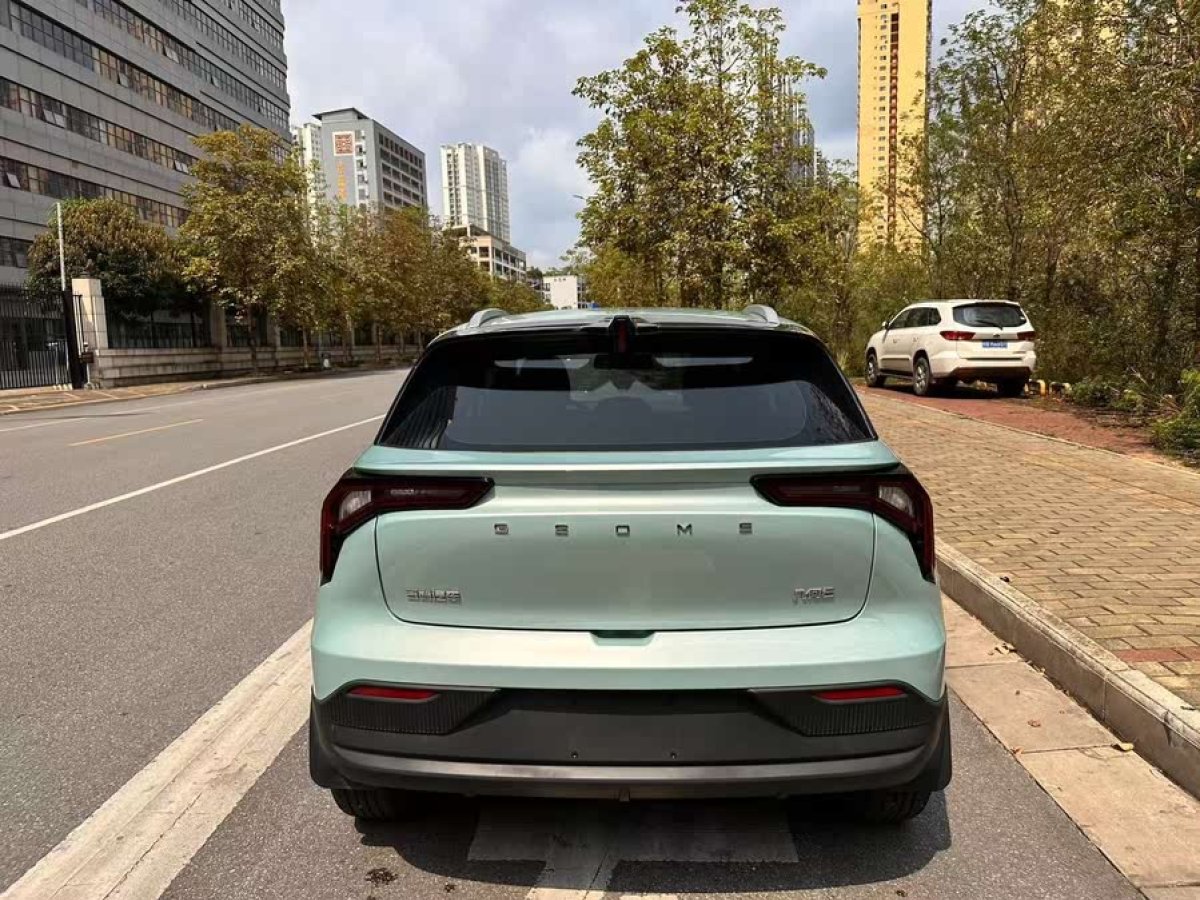 幾何 幾何E  2024款 301KM 流光圖片