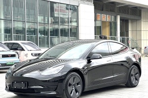 Model 3 特斯拉 后輪驅(qū)動版
