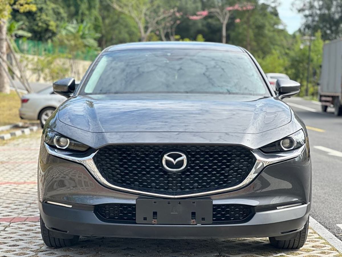 馬自達(dá) CX-30  2020款 2.0L 自動質(zhì)悅型圖片