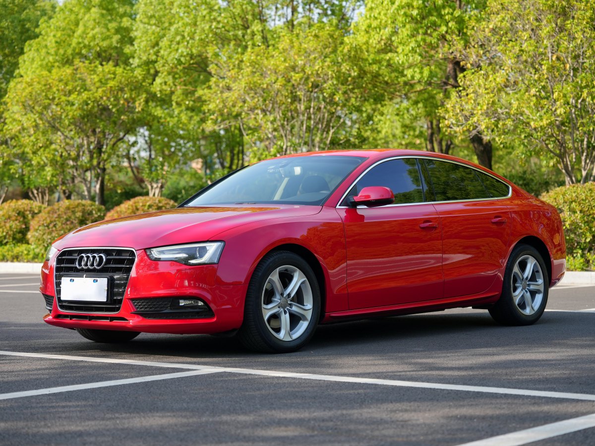 2014年11月奧迪 奧迪A5  2014款 Sportback 45 TFSI