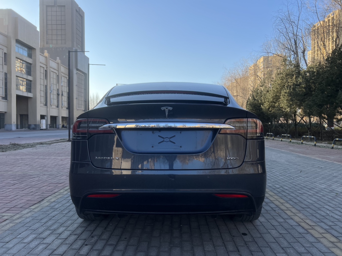 特斯拉 Model X  2019款 標準續(xù)航版圖片