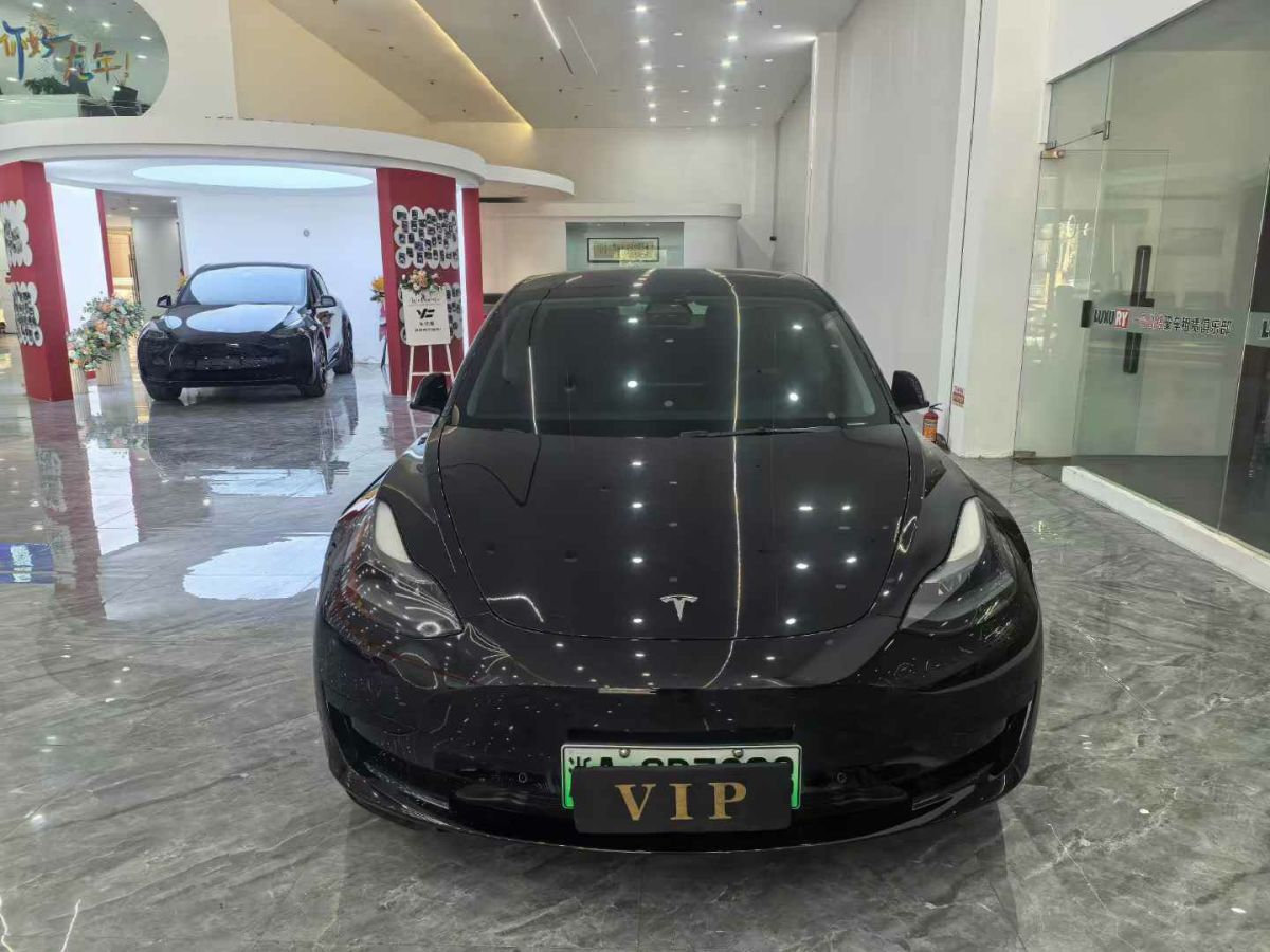 特斯拉 Model Y  2021款 標(biāo)準(zhǔn)續(xù)航后驅(qū)版圖片