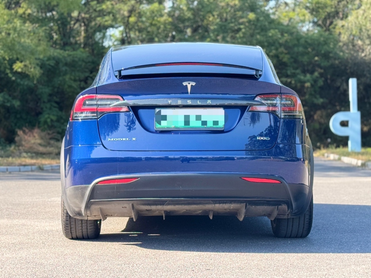 2019年4月特斯拉 Model X  2017款 Model X 100D 長(zhǎng)續(xù)航版