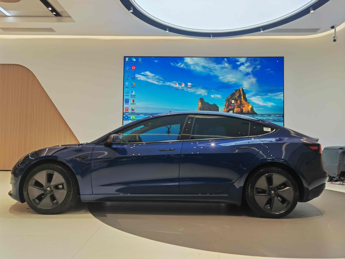 特斯拉 Model 3  2019款 標(biāo)準(zhǔn)續(xù)航后驅(qū)升級(jí)版圖片