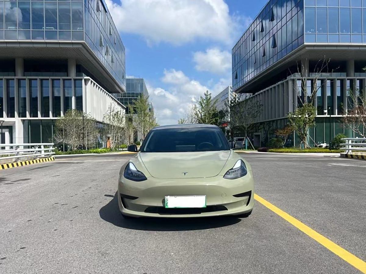 特斯拉 Model 3  2019款 標(biāo)準(zhǔn)續(xù)航后驅(qū)升級版圖片