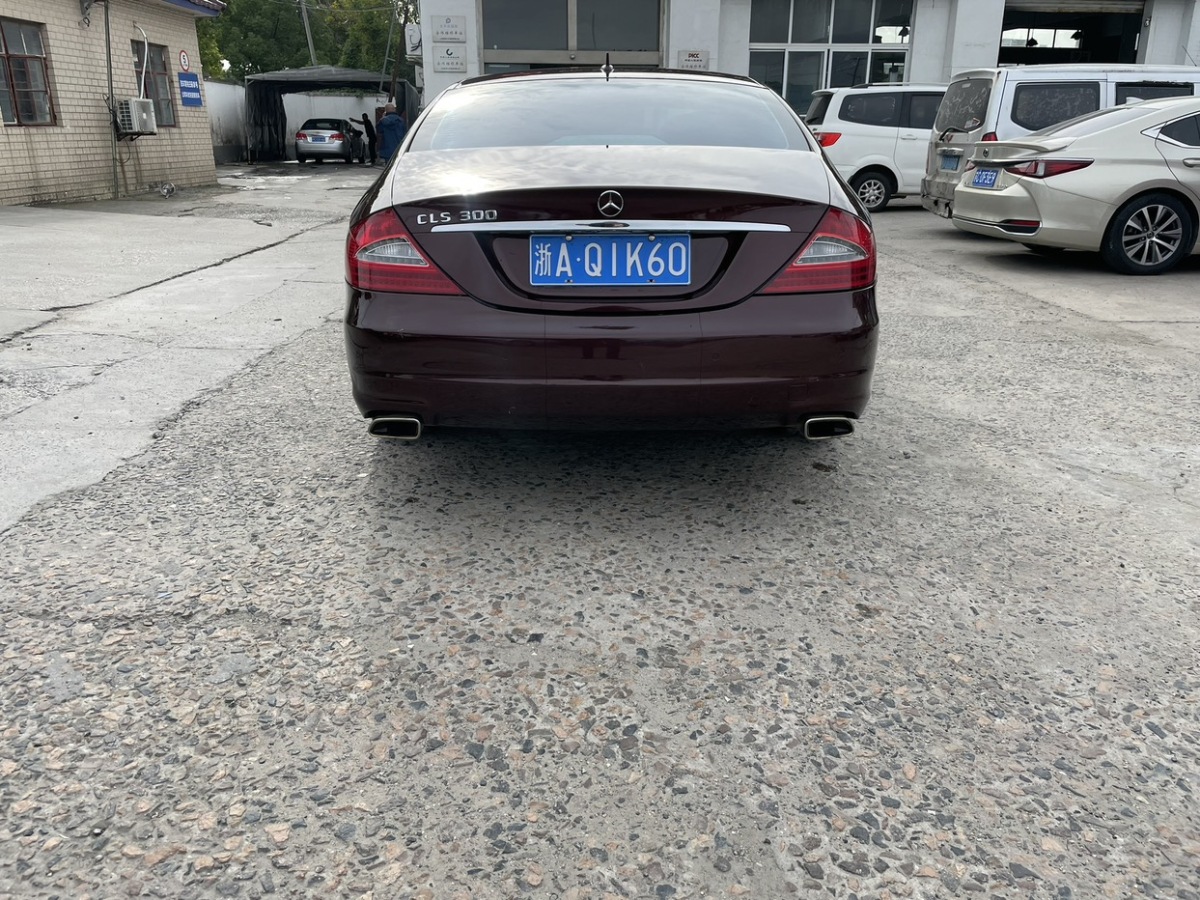 奔馳 奔馳CLS級(jí)  2009款 CLS 300圖片