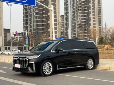 2024年8月 嵐圖 夢(mèng)想家 PHEV 超長(zhǎng)續(xù)航尊貴版圖片