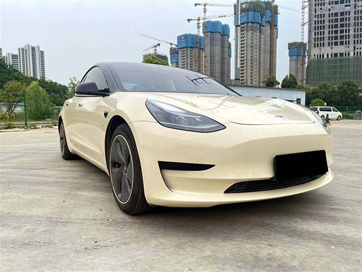 特斯拉 Model 3  2019款 標準續(xù)航后驅(qū)升級版圖片