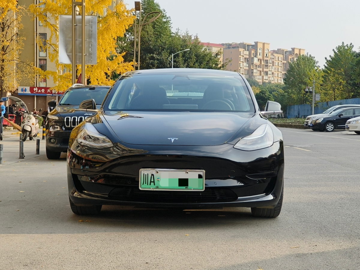 特斯拉 Model 3  2019款 標(biāo)準(zhǔn)續(xù)航后驅(qū)升級(jí)版圖片