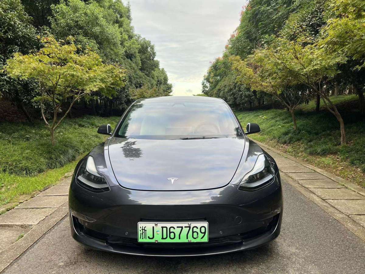 特斯拉 Model Y  2021款 Performance高性能全輪驅(qū)動版 3D6圖片