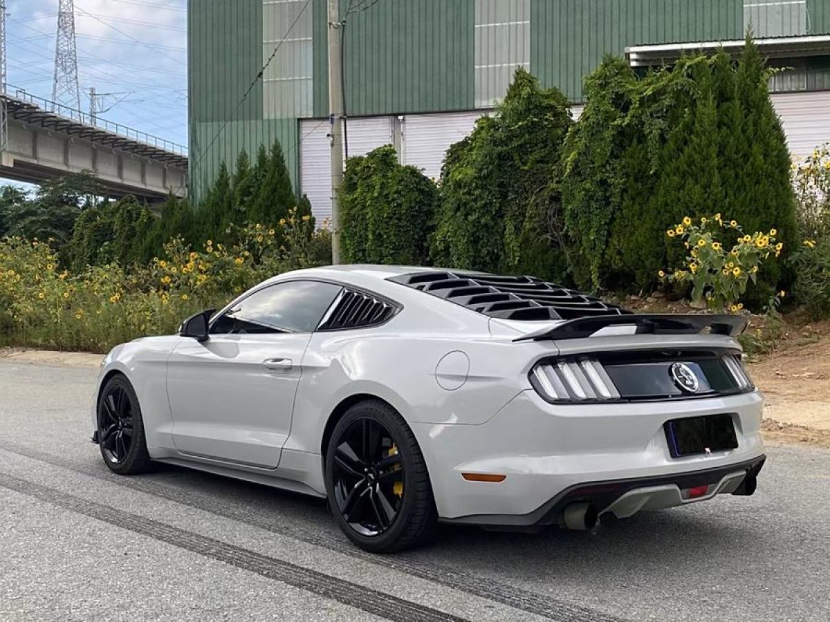 福特 Mustang  2015款 2.3T 性能版圖片