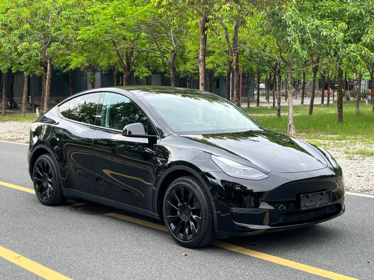 特斯拉 Model Y  2021款 標(biāo)準(zhǔn)續(xù)航后驅(qū)版圖片