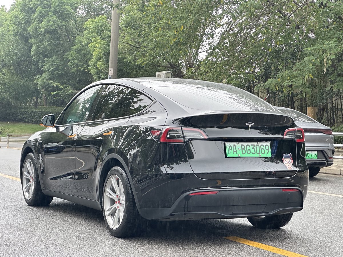 特斯拉 Model Y  2020款 改款 長續(xù)航后輪驅(qū)動版圖片