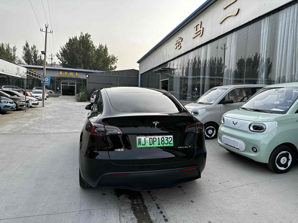 特斯拉 Model Y  2020款 改款 長(zhǎng)續(xù)航后輪驅(qū)動(dòng)版圖片