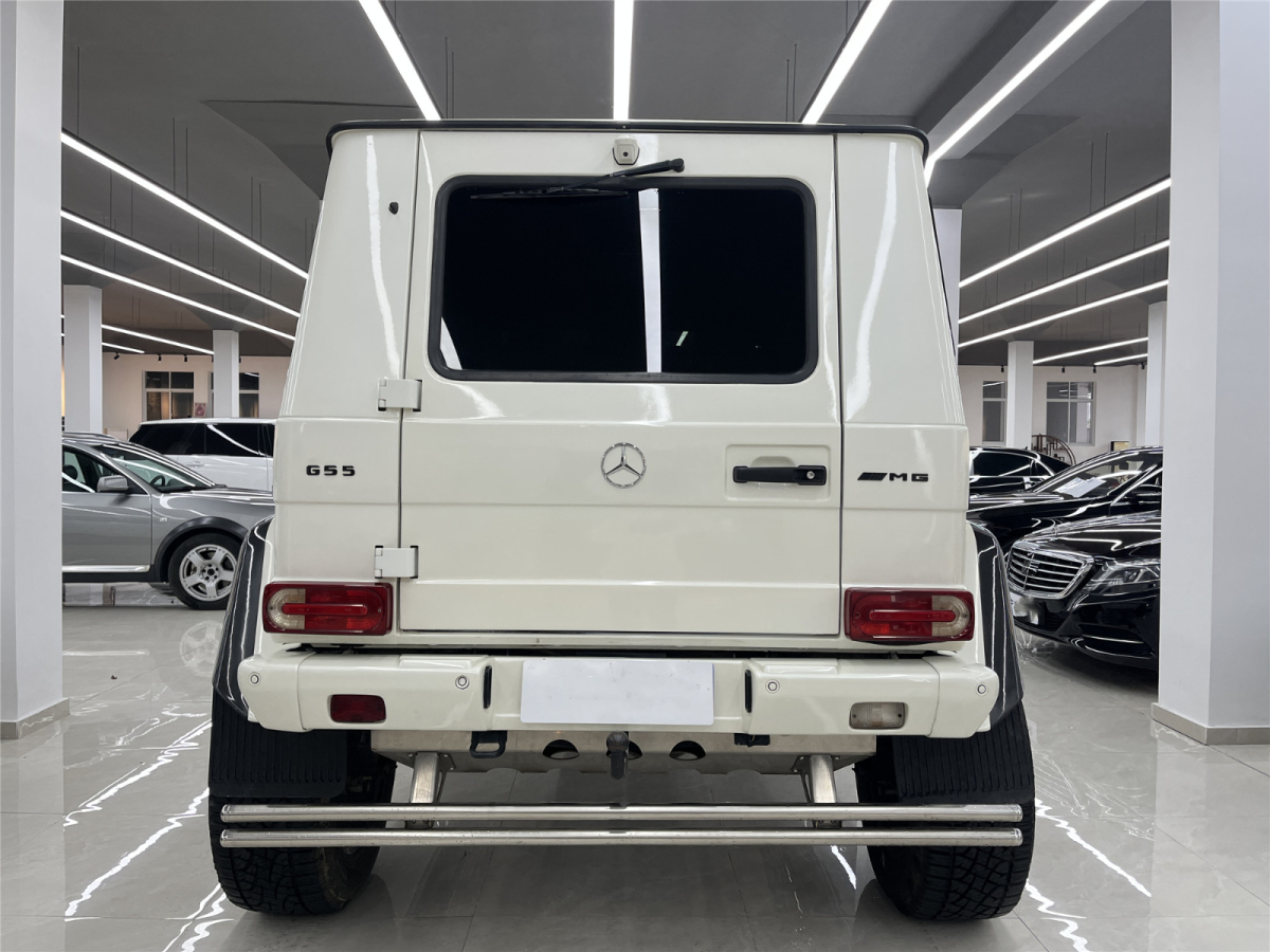 奔馳 奔馳G級(jí)AMG  2009款 AMG G 55圖片