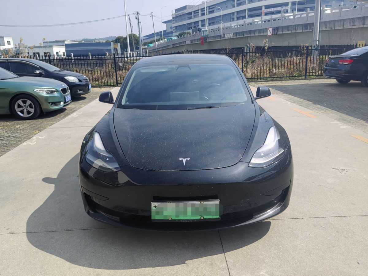 特斯拉 Model 3  2021款 標(biāo)準(zhǔn)續(xù)航后驅(qū)升級(jí)版 3D6圖片