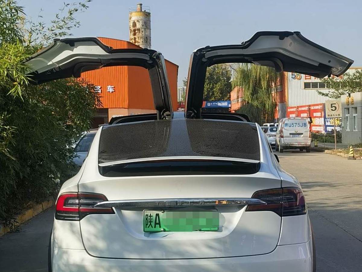 特斯拉 Model X  2017款 Model X 100D 長續(xù)航版圖片