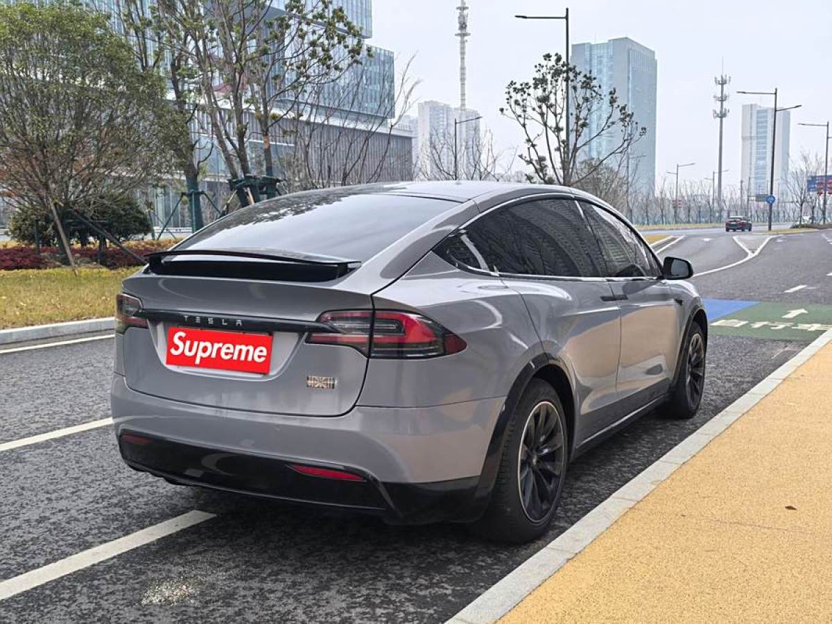 特斯拉 Model X  2019款 Performance 高性能版圖片