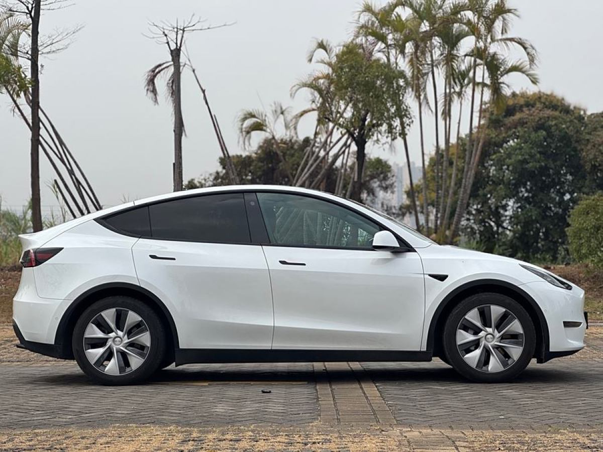 特斯拉 Model 3  2021款 改款 標(biāo)準(zhǔn)續(xù)航后驅(qū)升級(jí)版圖片