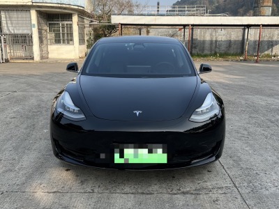 2020年4月 特斯拉 Model 3 標(biāo)準(zhǔn)續(xù)航后驅(qū)升級版圖片