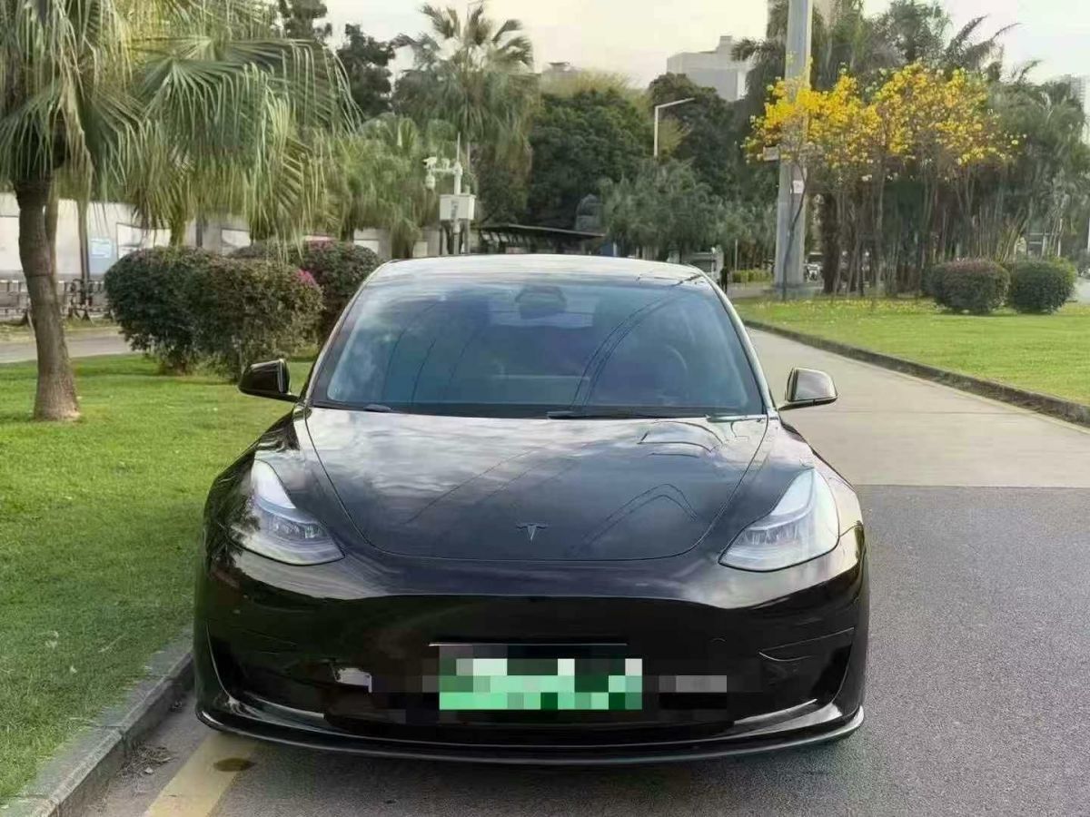 特斯拉 Model 3  2022款 Performance高性能全輪驅(qū)動版圖片