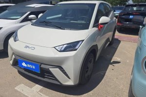 海鷗 比亞迪 智駕版 305km 活力版