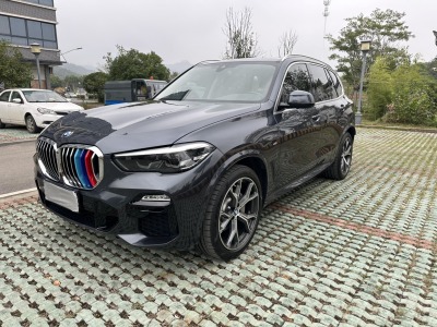 寶馬 寶馬X5(進(jìn)口) xDrive30i X設(shè)計(jì)套裝圖片